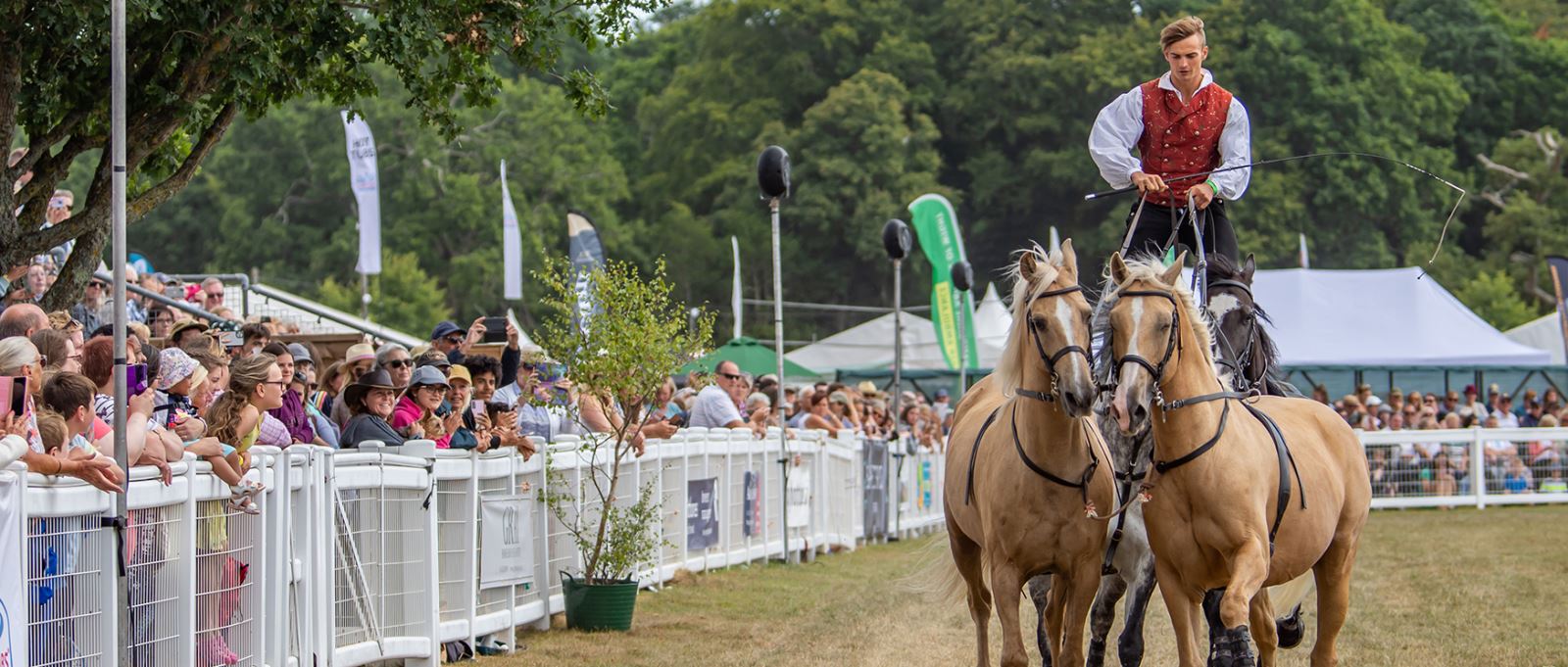 The New Forest Show